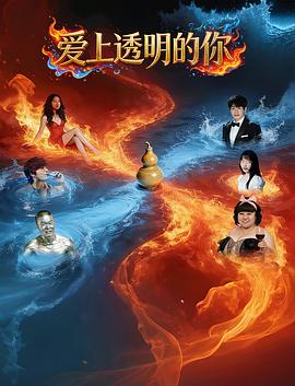 爱上透明的你海报