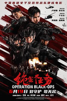 绝密任务海报