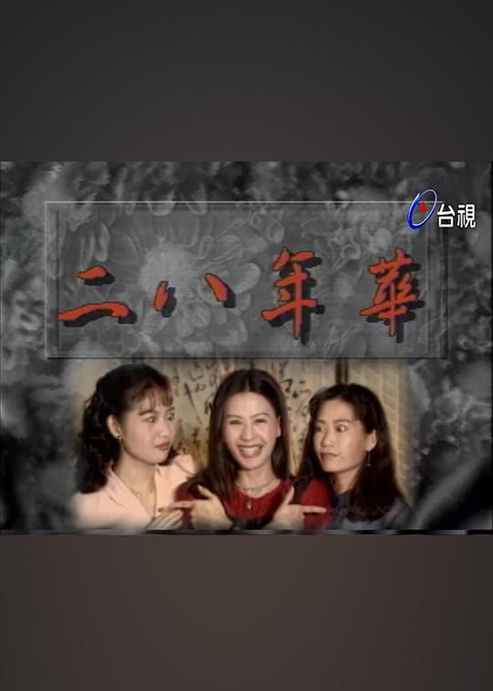 二八年华海报