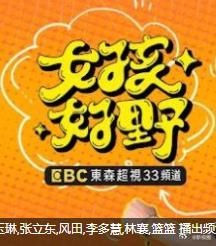 女孩好野海报