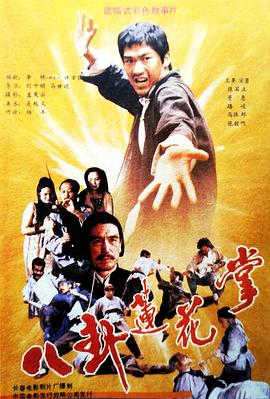 八卦莲花掌海报