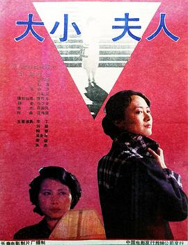 大小夫人海报