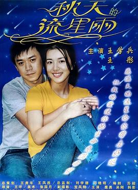 秋天的流星雨海报